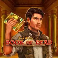 Play Book of Dead slot by Play&#039;n GO on bwin-casino.be